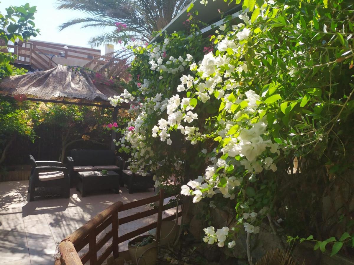 Lotus turtle garden Eilat Appartement Buitenkant foto