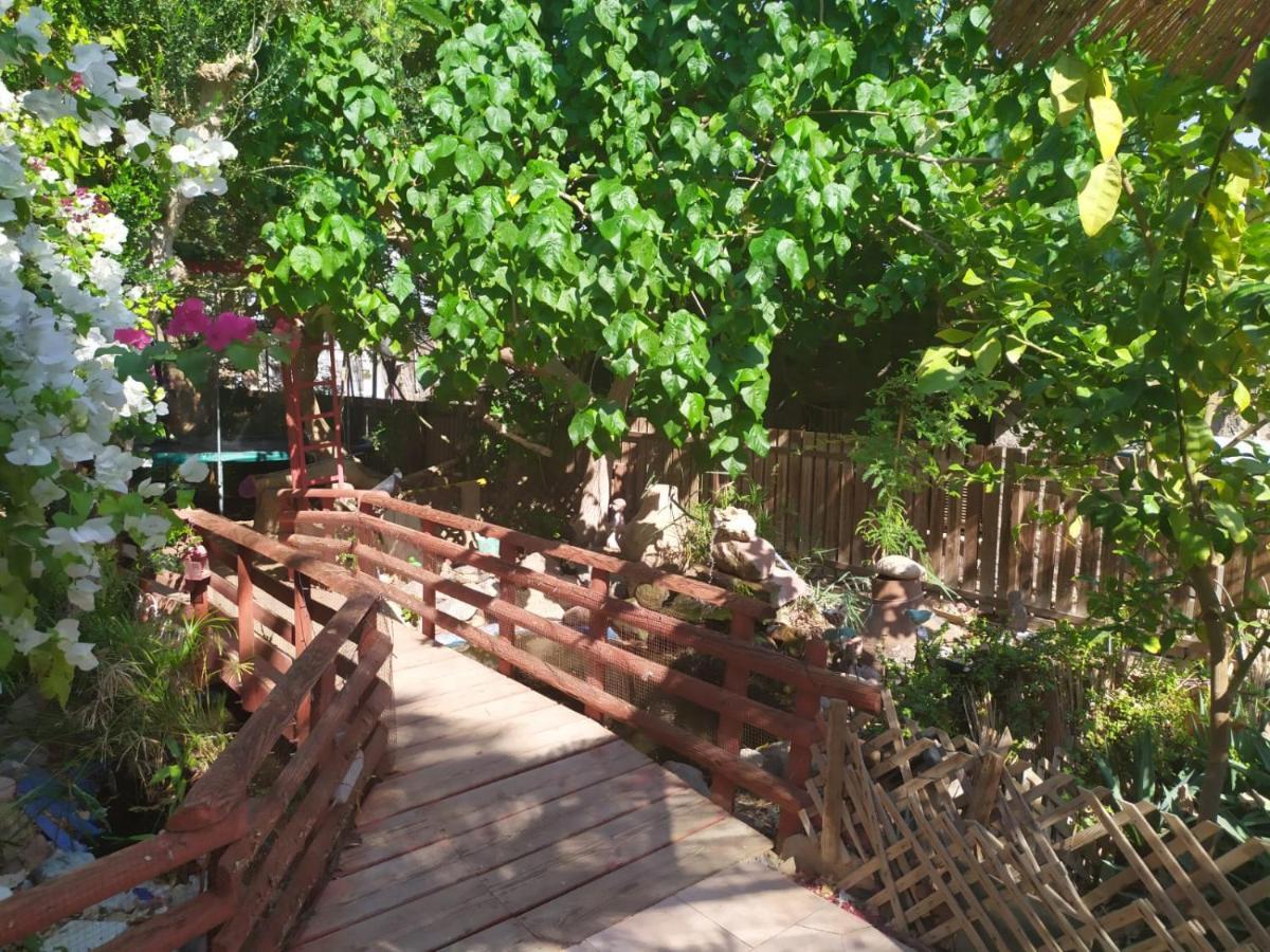 Lotus turtle garden Eilat Appartement Buitenkant foto