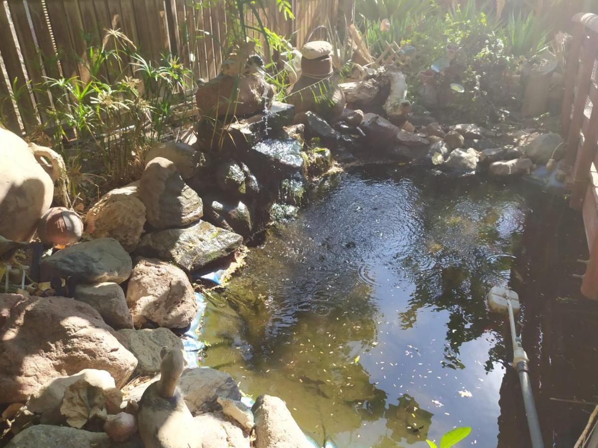 Lotus turtle garden Eilat Appartement Buitenkant foto
