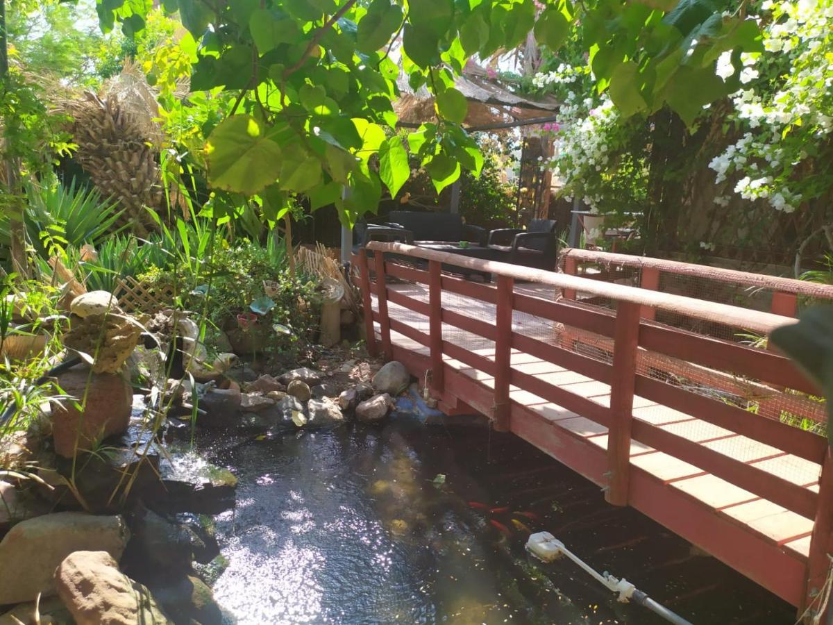 Lotus turtle garden Eilat Appartement Buitenkant foto
